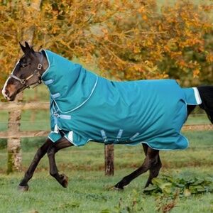Amigo Bravo 12 Plus Heavy Turnout Horse Blanket
